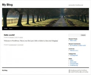 Default WordPress homepage